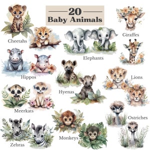 May include: A watercolor illustration of 20 baby animals, including a cheetah, hippo, elephant, giraffe, lion, hyena, meerkat, monkey, ostrich, and zebra. The animals are depicted in a cartoon style with bright colors and playful expressions. The illustration is perfect for a nursery or children's room.