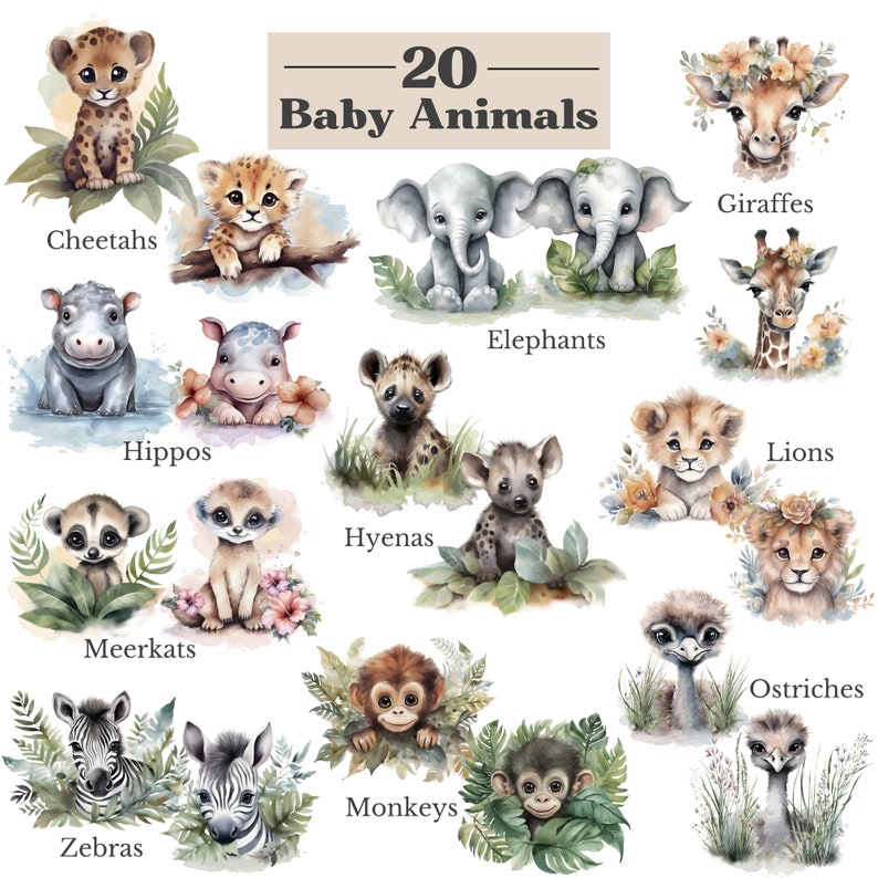 May include: A watercolor illustration of 20 baby animals, including a cheetah, hippo, elephant, giraffe, lion, hyena, meerkat, monkey, ostrich, and zebra. The animals are depicted in a cartoon style with bright colors and playful expressions. The illustration is perfect for a nursery or children's room.