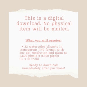 May include: A digital download of 32 watercolor clipart images in transparent PNG format. Each image is 3,600 pixels by 3,600 pixels (12 inches by 12 inches) and 300 dpi resolution. The text "This is a digital download. No physical item will be mailed. What you will receive: &bull; 32 watercolor cliparts in transparent PNG format with 300 dpi resolution and sized at 3,600 pixels x 3,600 pixels (12 x 12 inch) Ready to download immediately after purchase!" is displayed on a pink background.