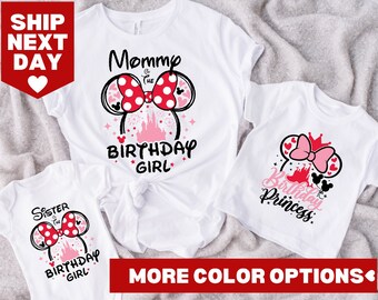 Camiseta familiar de cumpleaños de Minnie, camiseta familiar de cumpleaños a juego, camiseta familiar de cumpleaños de Disney, camiseta de cumpleaños de Minnie, camiseta familiar de cumpleañera