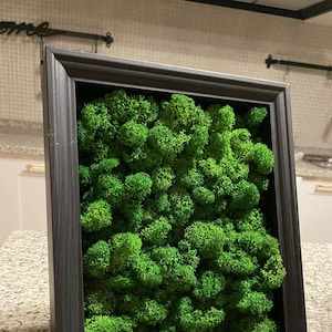 Puede incluir: Una obra de arte mural rectangular enmarcada, llena de musgo verde vibrante. El musgo está densamente empaquetado, creando un efecto texturizado y tridimensional. El marco es de color negro mate oscuro, proporcionando un borde contrastante.