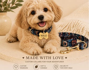 Collar personalizado para perro con placa grabada con láser para nombre y número de teléfono.