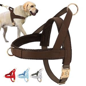 Personalized Dog Harness, Padded Dog Harness Collar  No Pull Harness for Puppy Engraved