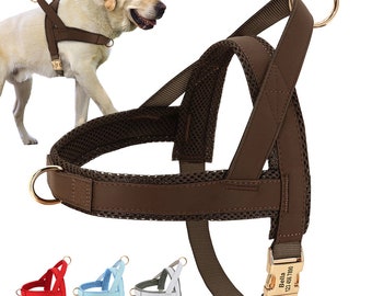 Harnais personnalisé pour chien, collier de harnais pour chien rembourré sans harnais de traction pour chiot gravé