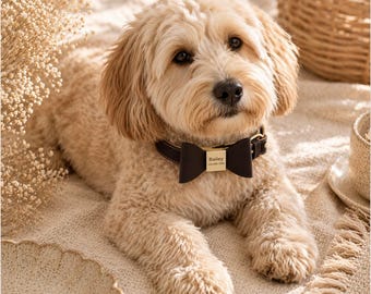 Collar de cuero personalizado para perro con placa de identificación y lazo, placa de identificación para mascota grabada a medida.