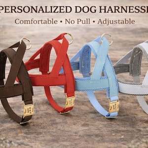 May include: Four personalized dog harnesses in brown, red, light blue, and white. Each harness has gold-colored metal hardware and is labeled "Personalized Dog Harnesses". The text also says "Comfortable, No Pull, Adjustable".