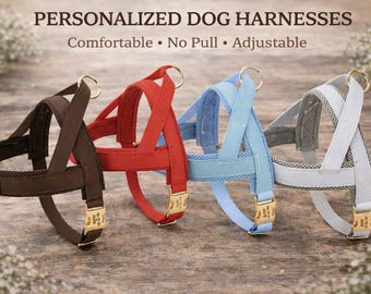 Arnés acolchado personalizado para perros, antitirones, ajustable, collar grabado.