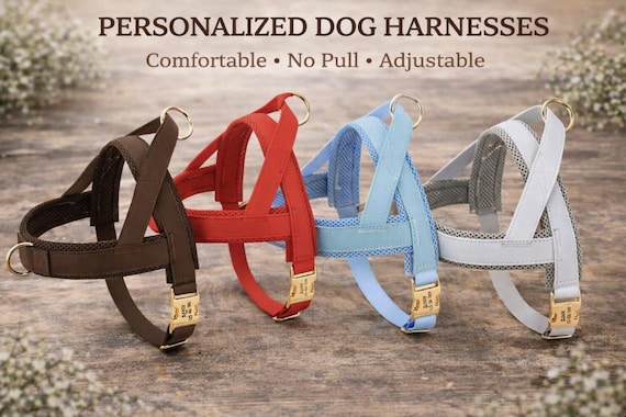 Personalized Padded Dog Harness, No Pull, Adjustable, Engraved Collar