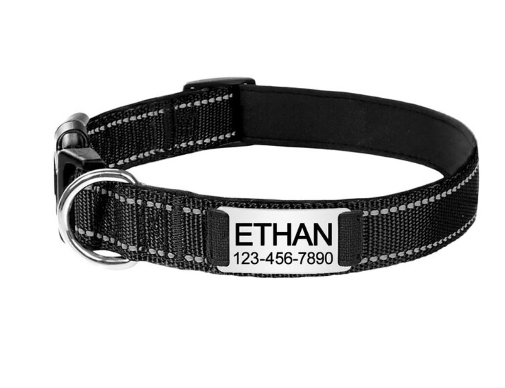 Custom Dog Collar Personalised Dog Collar Reflective Dog Etsy Australia