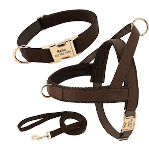 Personalized Mesh Dog Harness, Padded Dog Harness Collar  No Pull Harness for Puppy Engraved Lead Set
