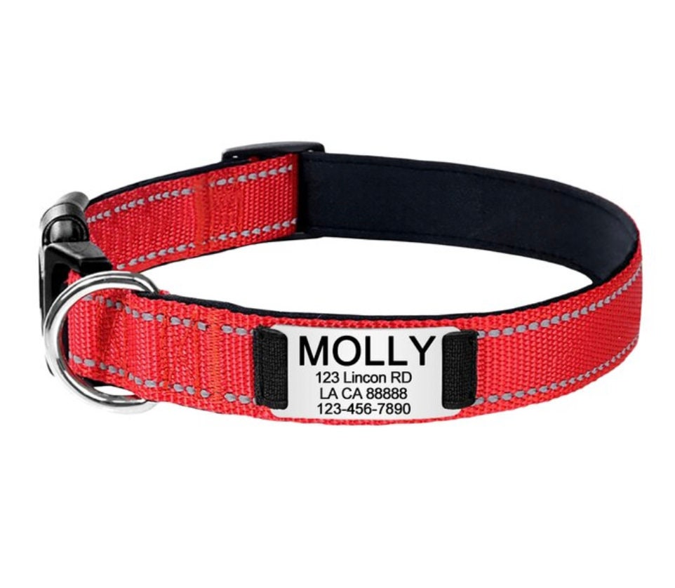 Custom Dog Collar Personalised Dog Collar Reflective Dog Etsy Australia