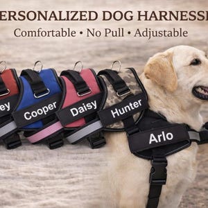 以下が含まれることがあります： 黒い持ち手と「But First, Coffee」の文字が黒い手書き風フォントで書かれた白いセラミックマグ。マグカップは白い表面に置かれています。