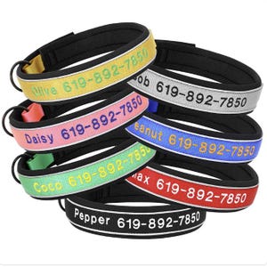 Personalised Dog Collar Custom Name Phone Number Embroidered Pet Collars