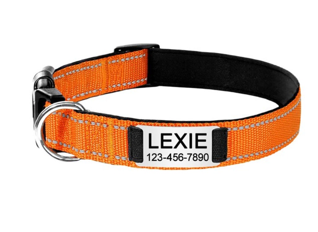 Custom Dog Collar Personalised Dog Collar Reflective Dog Etsy Australia