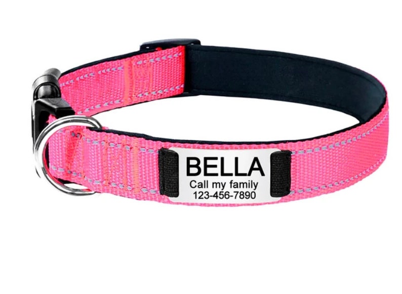 Custom Engraved Pet Collar, Engraved Pet Tag, Dog Leash, Puppy Collar, Gift for Pets, Dog Gifts Pink