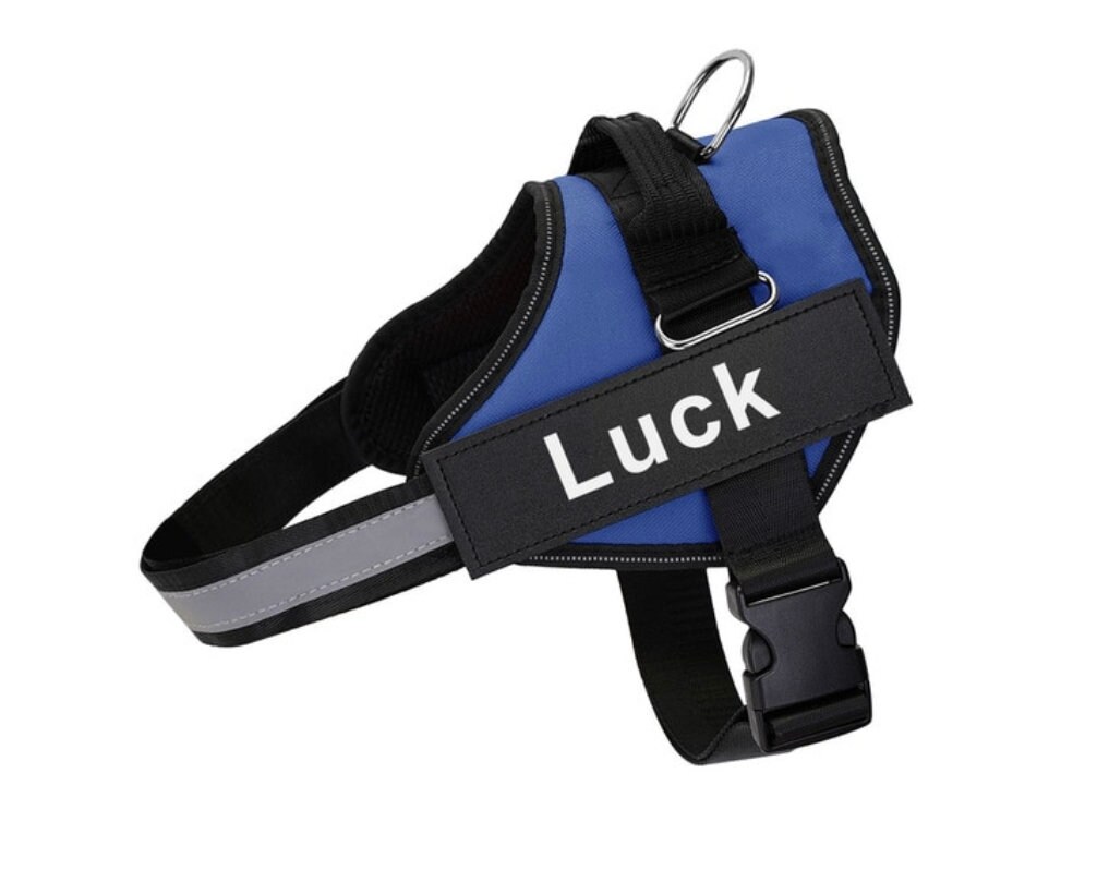 No Pull Puppy Harness For Puppies With Speculative Leaders Reference: Custom Dog No Pull Harness Reflective Adjustable Pet Includes