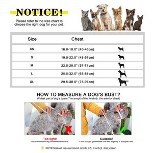 Personalized Padded Dog Harness, No Pull, Adjustable, Engraved Collar image 4