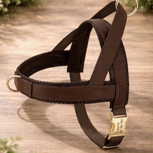 Personalized Padded Dog Harness, No Pull, Adjustable, Engraved Collar image 5