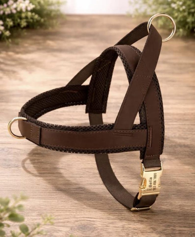 Personalized Padded Dog Harness, No Pull, Adjustable, Engraved Collar image 5