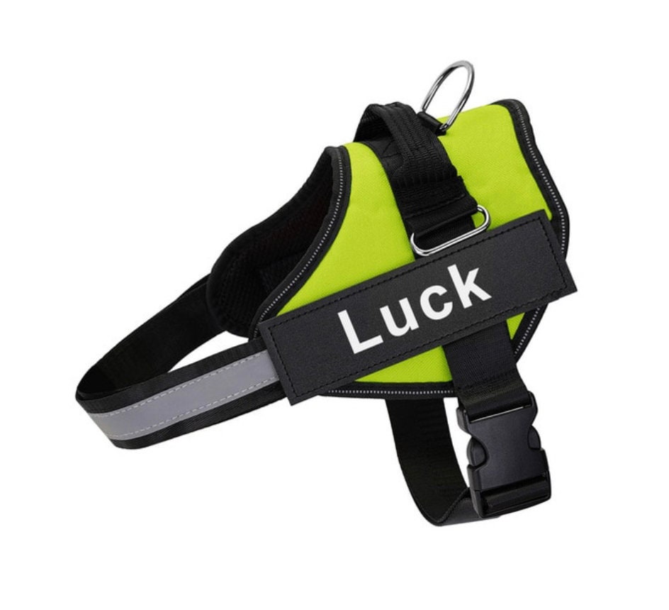 Custom Dog NO PULL Harness Reflective Adjustable Pet INCLUDES Etsy Australia