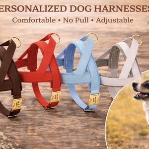 Personalized Padded Dog Harness, No Pull, Adjustable, Engraved Collar image 3