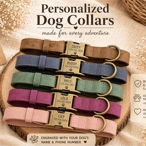 Könnte beinhalten: Eine Auswahl personalisierter Hundehalsbänder in verschiedenen Farben, darunter Braun, Blau, Grün, Lila und Rosa. Jedes Halsband hat eine goldfarbene Schnalle mit dem Namen und der Telefonnummer des Hundes. Die Halsbänder liegen auf einer Holzoberfläche.