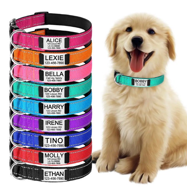 Personalisiertes Hundehalsband, Hundemarke mit Gravur, Hundeleine für Welpen, Geschenk für Haustiere, Hundegeschenke