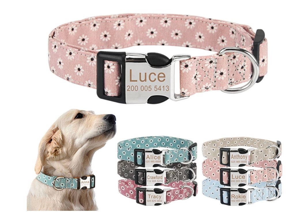 Buy Cotton Dog Collar Online In India India