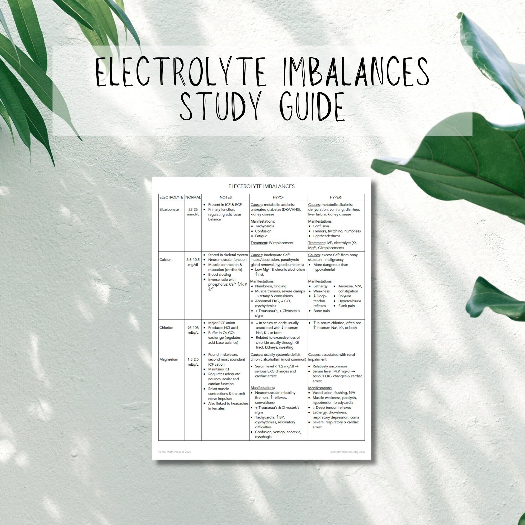 Electrolyte Imbalances Study Guide | Nursing School Clinical NCLEX Med ...