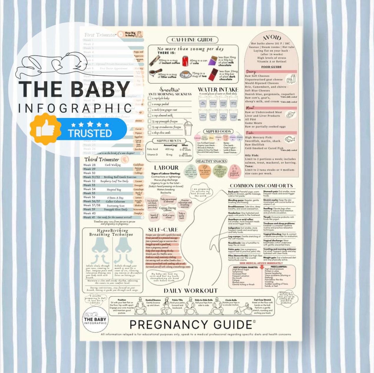 Pregnancy Care Guide © Printed Poster TRUSTED Maternity Parent to Be ...