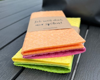 Sponge cloth I just want to do the dishes set of 2 I Cleaning cloth I Dishcloth I Dishcloth