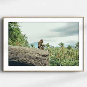 Puede incluir: Impresión enmarcada que muestra un mono posado en una gran roca, con un exuberante paisaje verde y palmeras de fondo. La imagen tiene un tema natural, con un cielo nublado y una paleta de colores neutros.