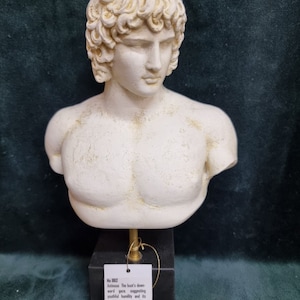May include: A white plaster bust of Antinous, a Roman emperor, with a downward gaze and long hair. The bust is on a black base with a gold stand. The label on the base reads "No 862 Antinous The bust's downward gaze, suggesting youthful humility and its neck-long hair signifying divinity National Archaeological Museum, Athens."