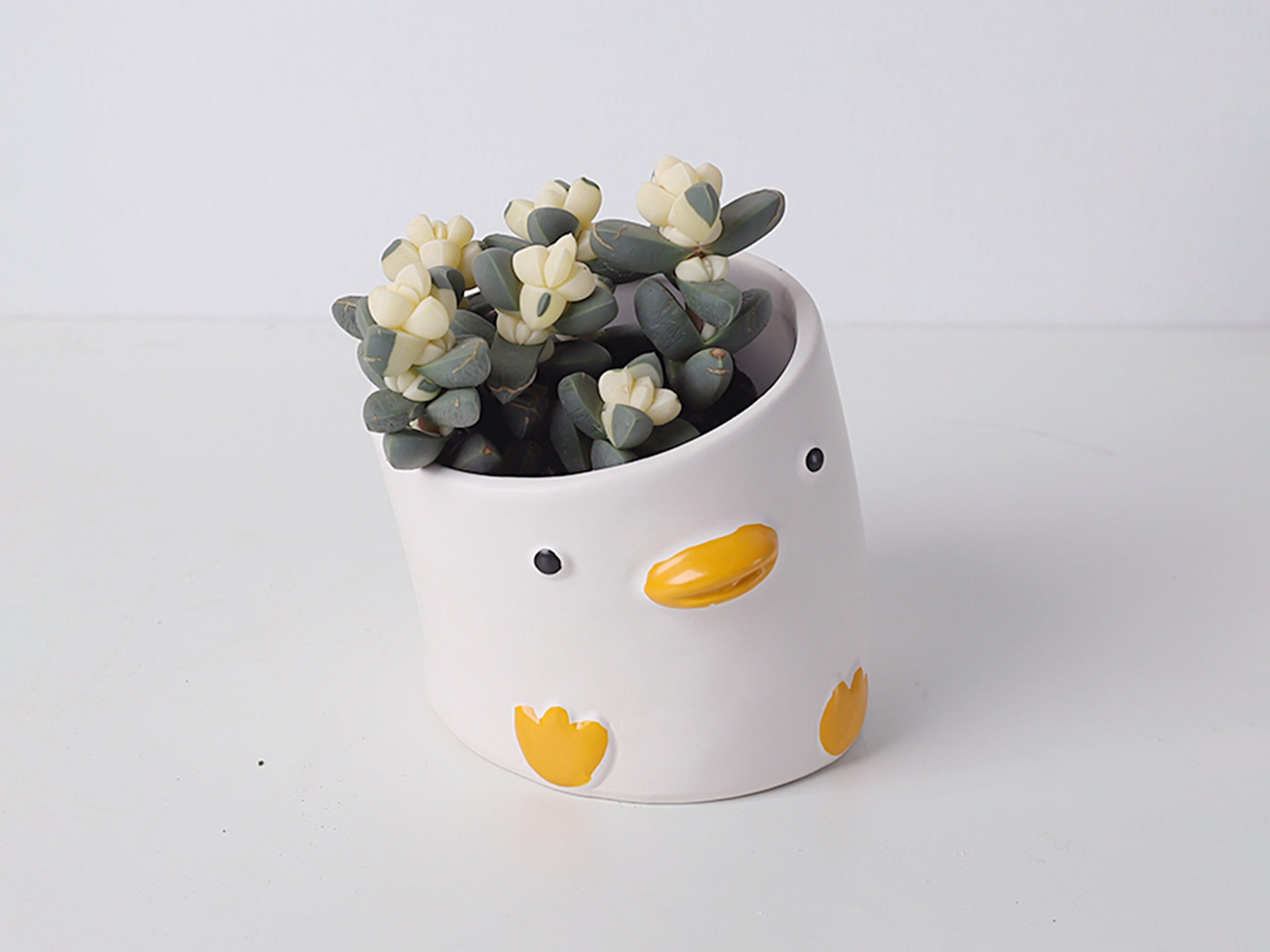 Ceramic Animal Head Vase for Succulents Duck Pig Crooked Etsy