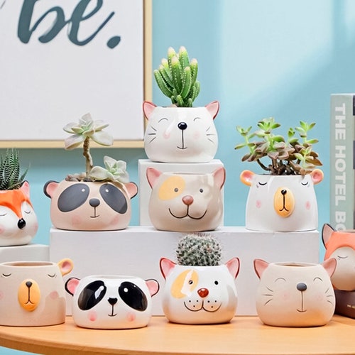 Ceramic Animal Head Vase for Succulents Duck Pig Crooked Etsy