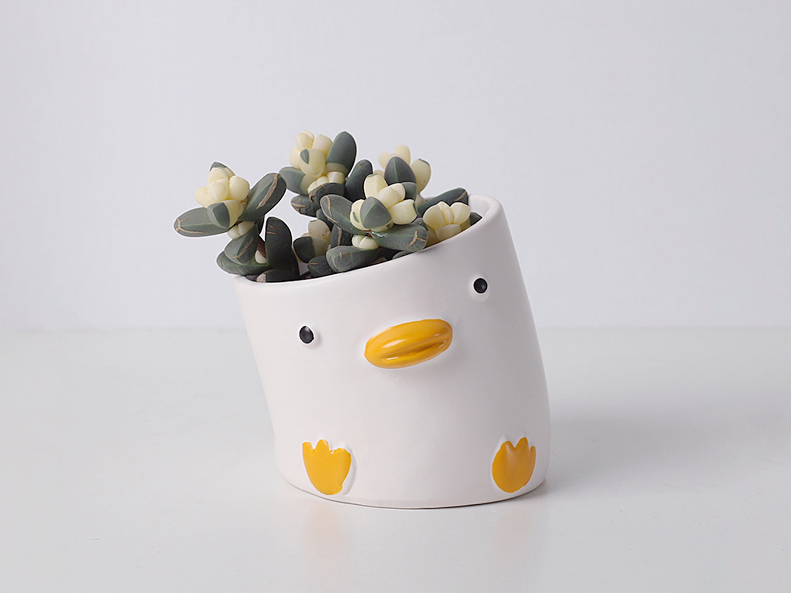 Ceramic Animal Head Vase for Succulents Duck Pig Crooked Etsy