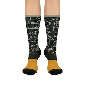 Math, Science Teacher Socks! E MC2, Calculus, Algebra, Trig Love, Scientists, Math Teacher, Socks with Math Problems on Chalkboard