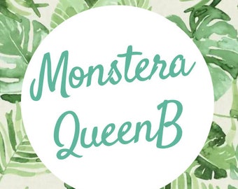 Monstera QueenB