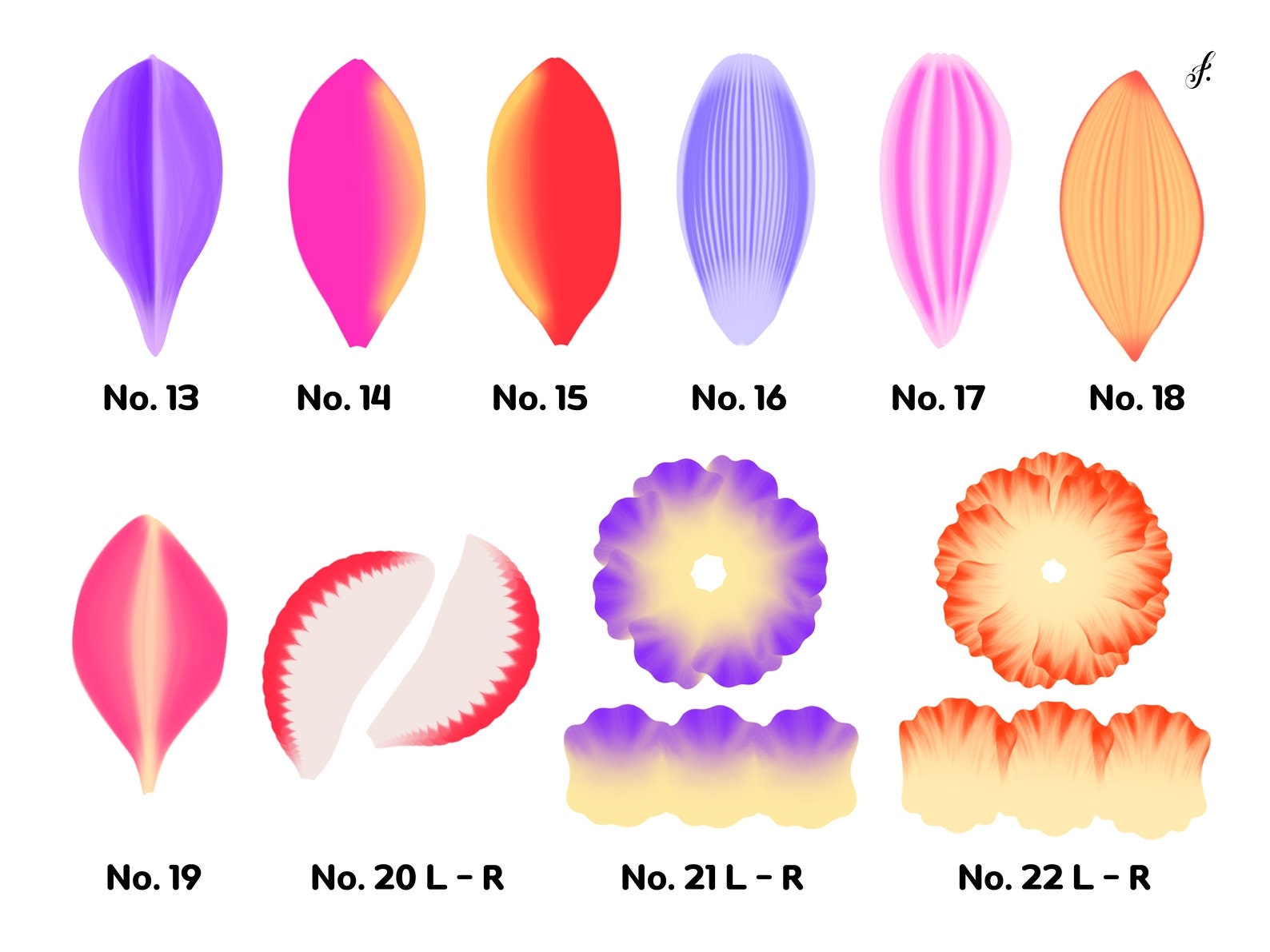 Daisy Procreate 37 Procreate Effortless Petal Brushes - Etsy