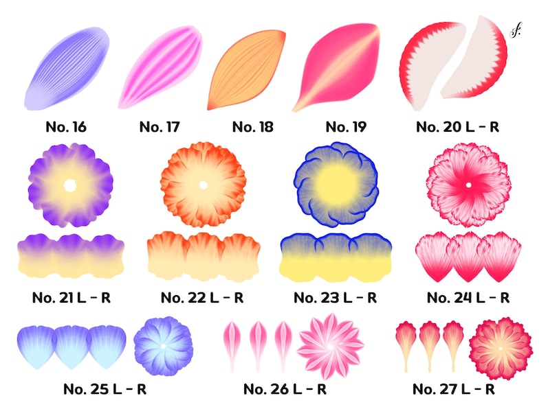 Procreate Flowers | 131 Procreate Effortless Flower Brushes, Petal ...