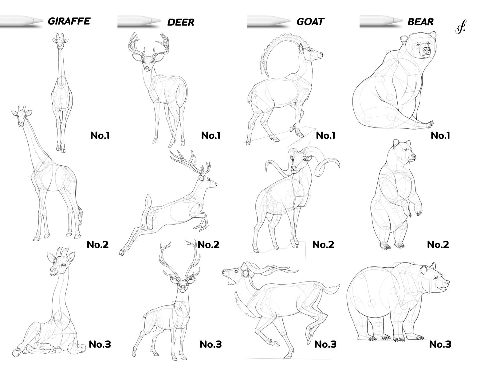 Procreate Animal Stamps | 95 Procreate Animal Brushes, Drawing Template ...