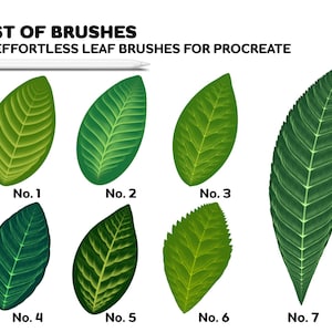 Leaf Brushes Procreate | 26 Effortless Leaf Brushes for Procreate ...