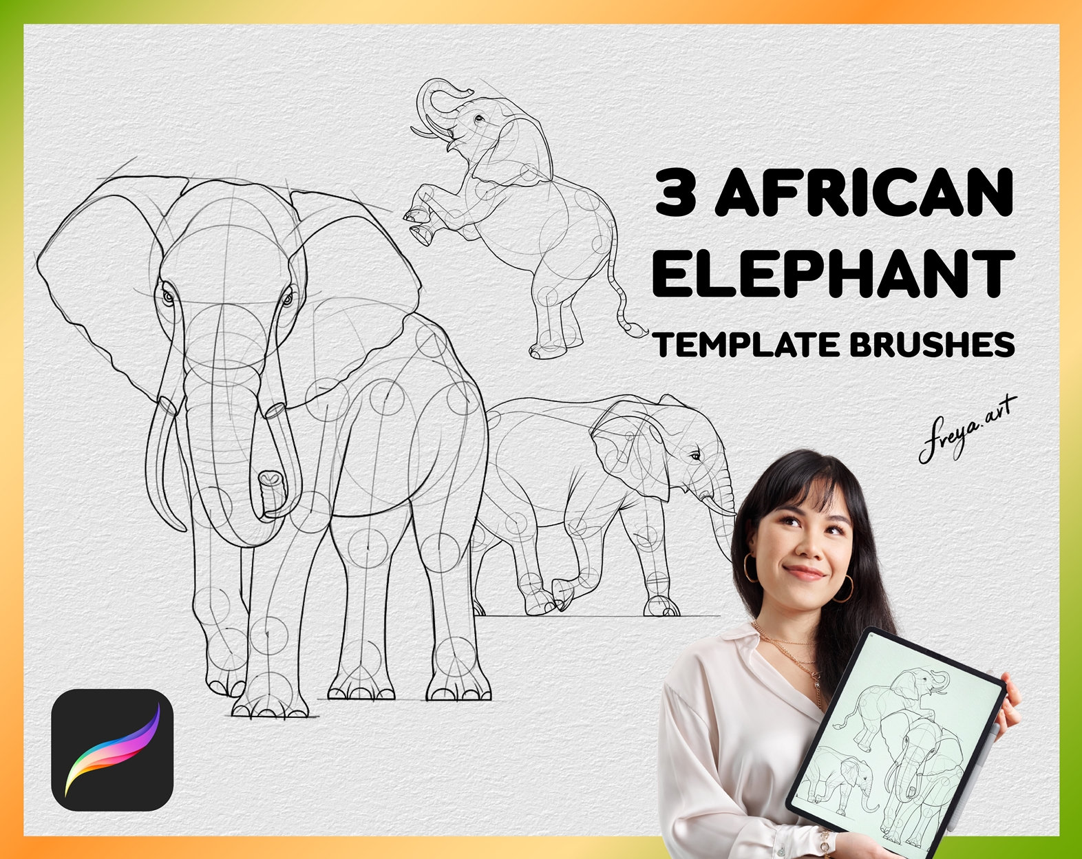 Procreate African Elephant Stamp 3 Template Procreate Etsy