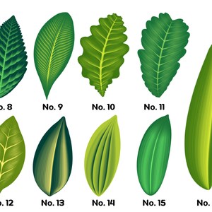 Leaf Brushes Procreate | 26 Effortless Leaf Brushes for Procreate ...