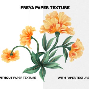 Puede incluir: Una comparaci&oacute;n de una ilustraci&oacute;n floral con y sin superposici&oacute;n de textura de papel. La ilustraci&oacute;n presenta un grupo de flores naranjas con hojas verdes. El texto "FREYA PAPER TEXTURE" aparece en la parte superior de la imagen. El texto "WITHOUT PAPER TEXTURE" aparece debajo de la ilustraci&oacute;n en el lado izquierdo de la imagen. El texto "WITH PAPER TEXTURE" aparece debajo de la ilustraci&oacute;n en el lado derecho de la imagen.