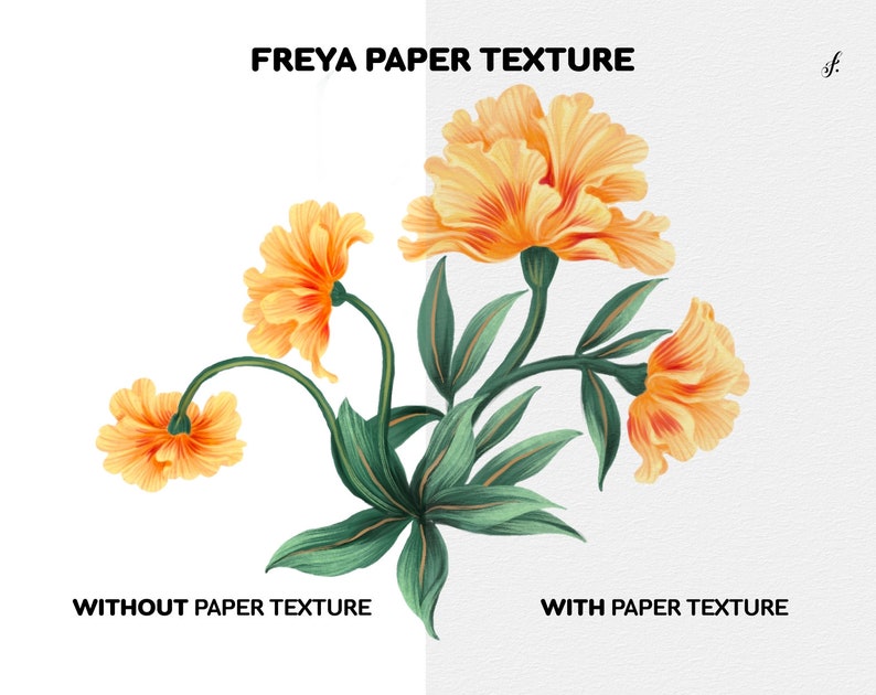 Puede incluir: Una comparaci&oacute;n de una ilustraci&oacute;n floral con y sin superposici&oacute;n de textura de papel. La ilustraci&oacute;n presenta un grupo de flores naranjas con hojas verdes. El texto "FREYA PAPER TEXTURE" aparece en la parte superior de la imagen. El texto "WITHOUT PAPER TEXTURE" aparece debajo de la ilustraci&oacute;n en el lado izquierdo de la imagen. El texto "WITH PAPER TEXTURE" aparece debajo de la ilustraci&oacute;n en el lado derecho de la imagen.