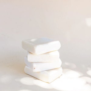 Carribean Coconut- Mango Butter Soap