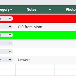 May include: A spreadsheet table with columns for Item, Category, Notes, Photo, and Date Logged. The table includes entries for Teeth whitener, Candles, Skin Cycling Products, Cookbook, Fancy Opened Pasta, and Heels. The Skin Cycling Products row is highlighted in green.