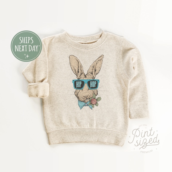 Hip Hop Bunny Toddler Sweatshirt - Boys Easter Pullover - Hipster Natural Kids Crew Neck