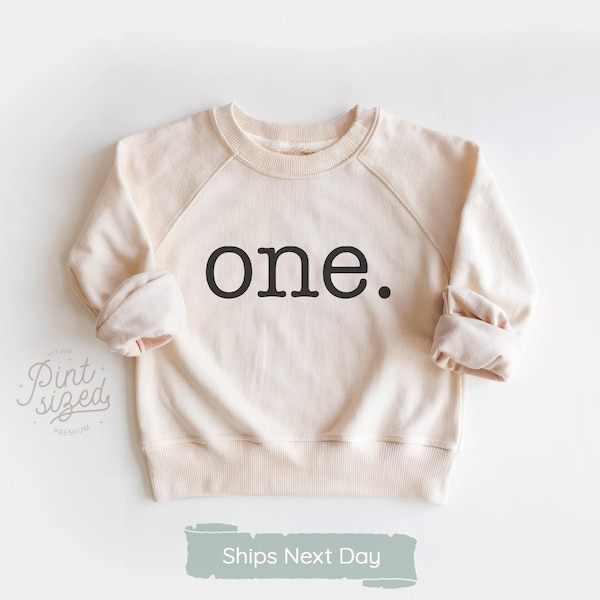 First Birthday Toddler Sweatshirt Vintage One Year Old Birthday Pullover Crewneck Unisex Natural Toddler Tee Shirt